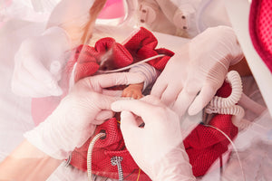 Das Nestchen für Frühgeborene - Born for Life GmbH
